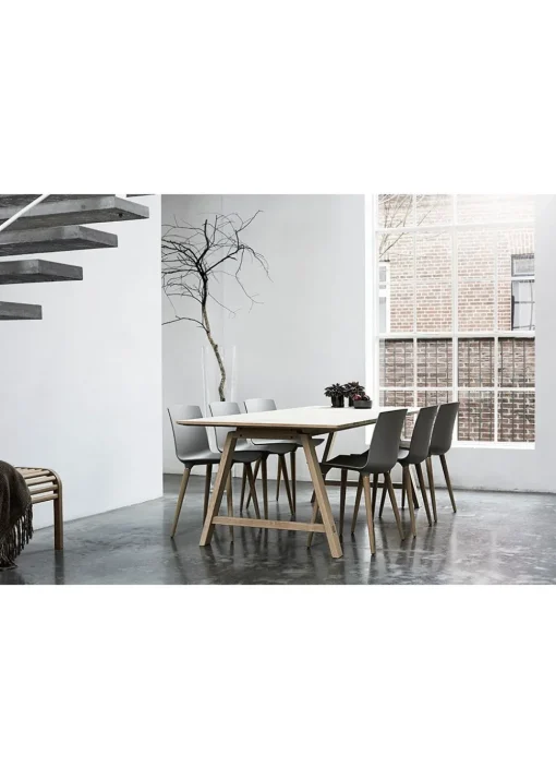 T1 - Extension Table
