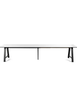 T1 - Extension Table