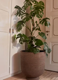 Terra Flowerpot & Vase