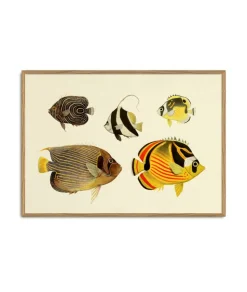 The Fishes #3912H