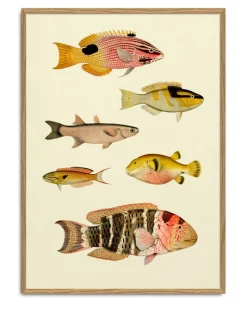 The Fishes #3910P