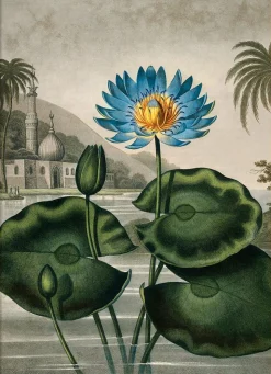 The Temple Of Flora