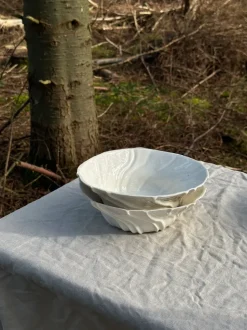 Tide Bowl