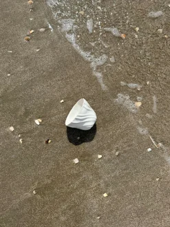 Tide Cup
