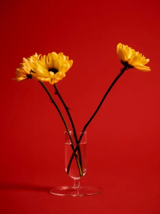 Tiny Vase