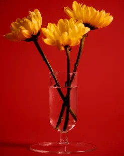Tiny Vase