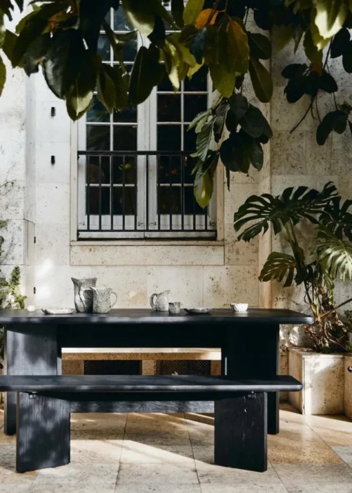 TISZA bench