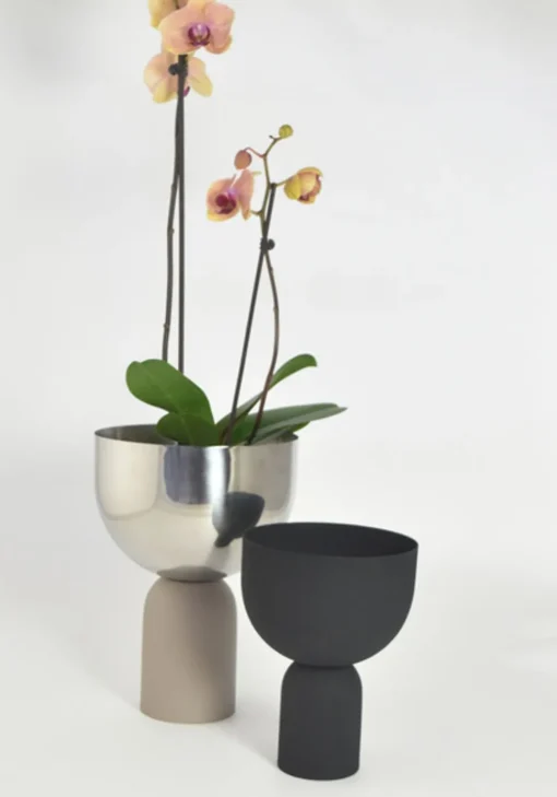 Torus Flowerpot