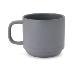 TOTO Cup