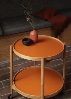 Tray - Oak Smoked Oiled model 60