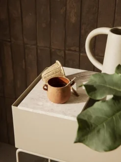 Tray for Plant Box
