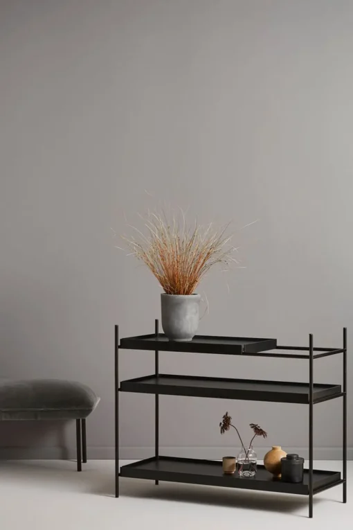 Tray Shelf