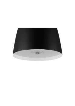 Tub Pendant