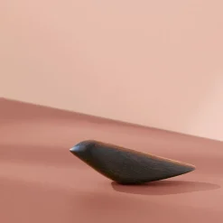 Twirling Bird