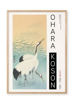 Two Cranes