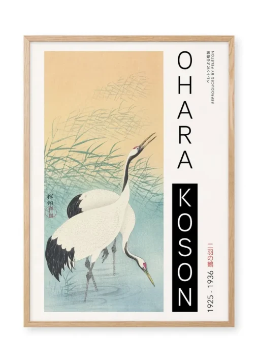 Two Cranes