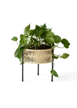 Umanoff Planter