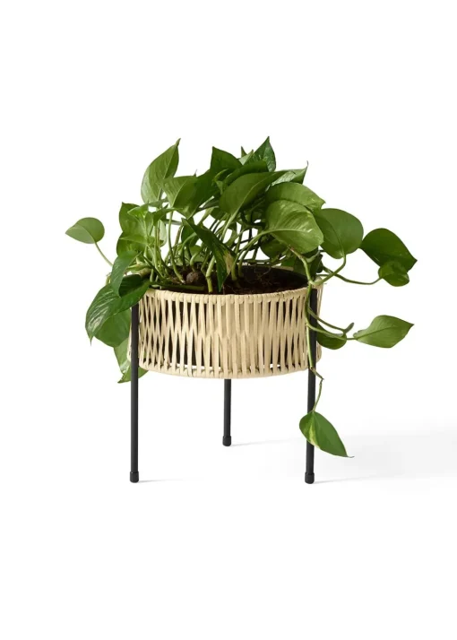 Umanoff Planter
