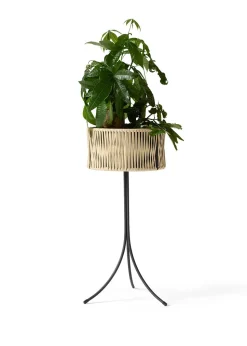 Umanoff Planter