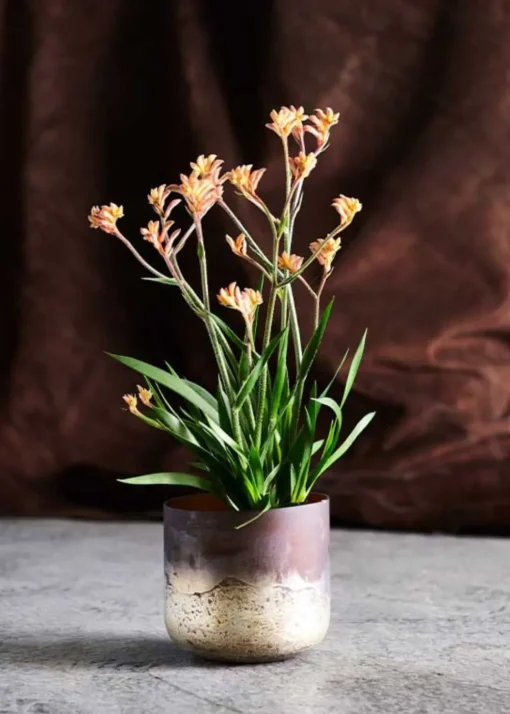Vase Lana
