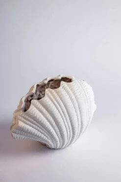 Vase Shell