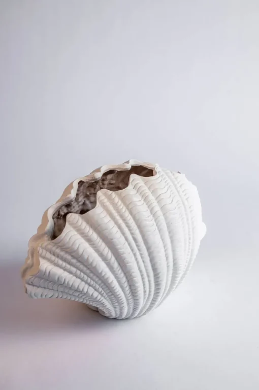 Vase Shell