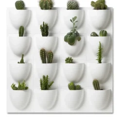 Vertiplants BIO