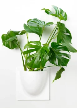 Vertiplants BIO