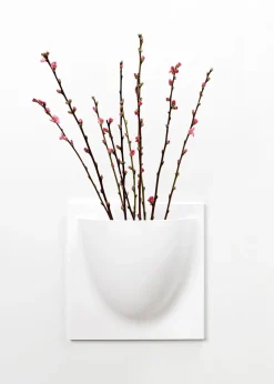 Vertiplants BIO