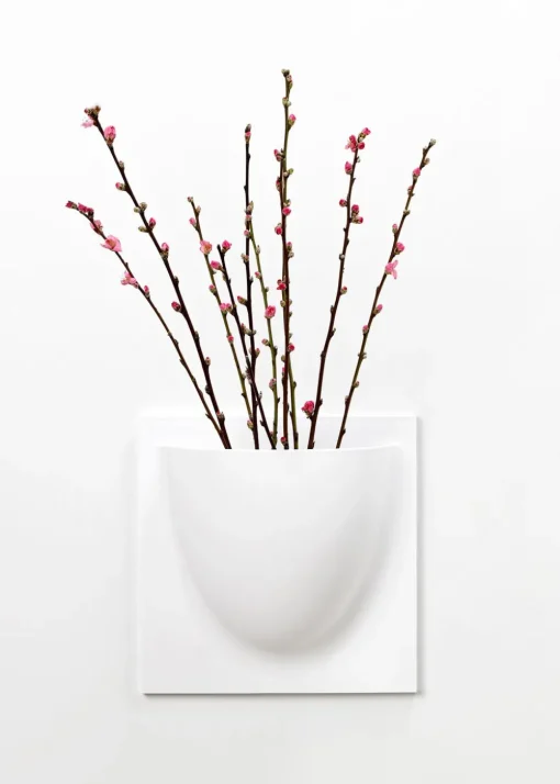 Vertiplants BIO