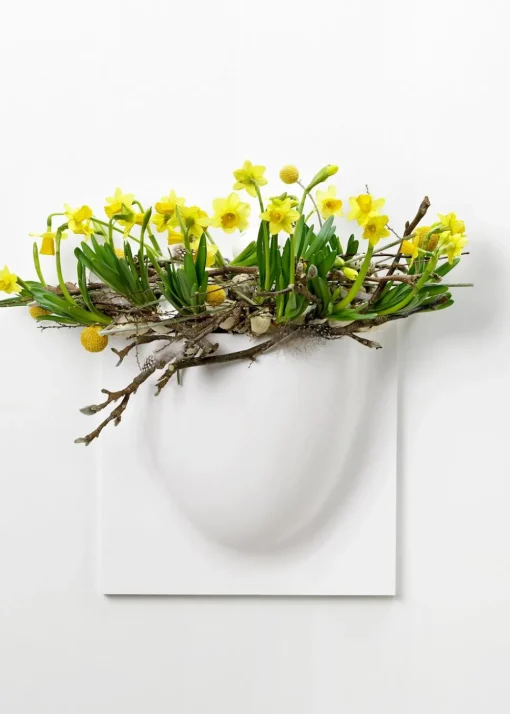 Vertiplants BIO