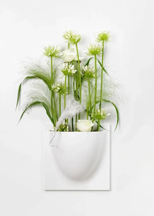 Vertiplants BIO