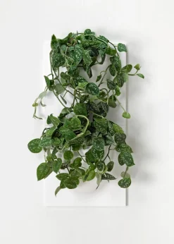 Vertiplants BIO