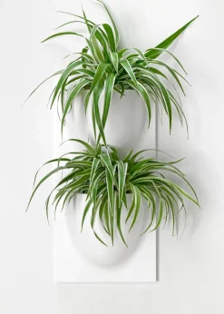 Vertiplants BIO