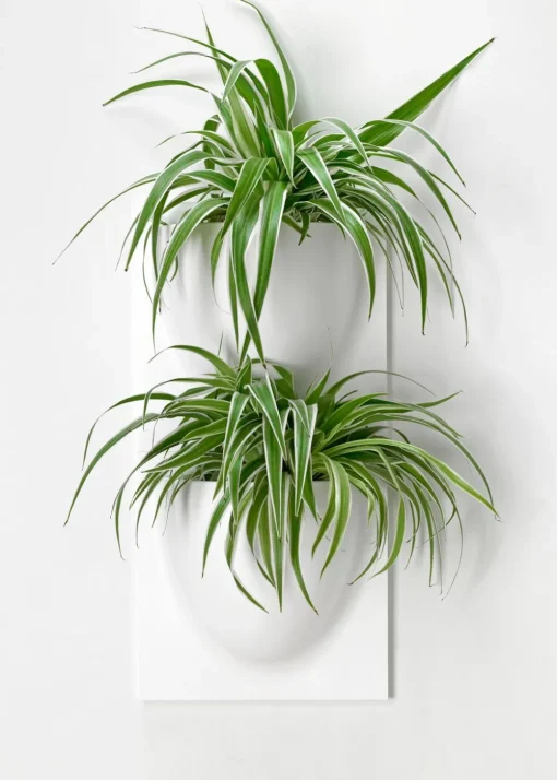 Vertiplants BIO