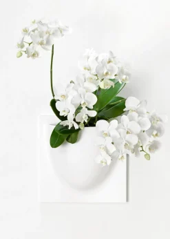 Vertiplants BIO