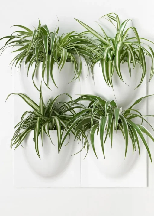 Vertiplants BIO