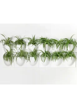 Vertiplants BIO