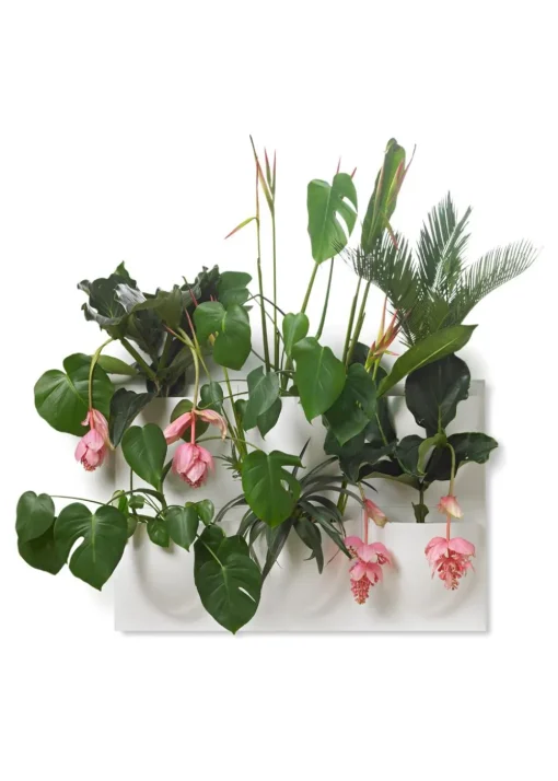 Vertiplants BIO