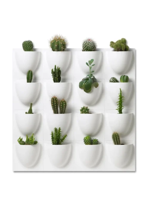 Vertiplants BIO