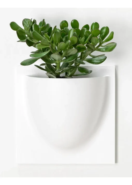 Vertiplants BIO