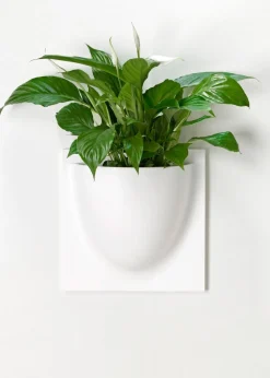 Vertiplants BIO