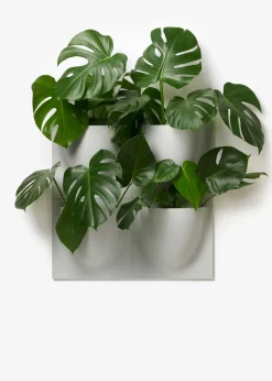 Vertiplants BIO