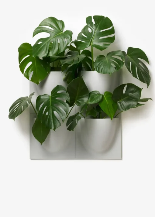 Vertiplants BIO