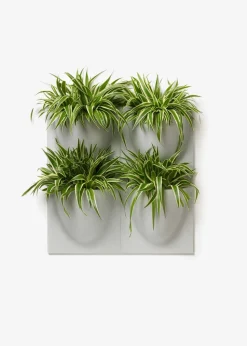 Vertiplants BIO