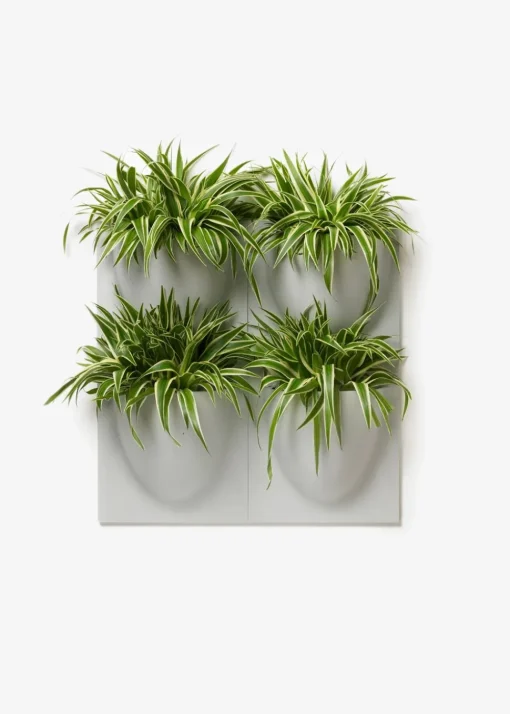 Vertiplants BIO