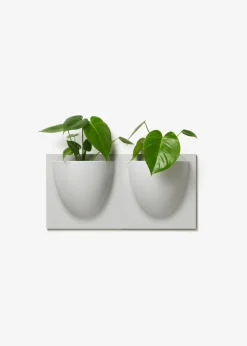 Vertiplants BIO