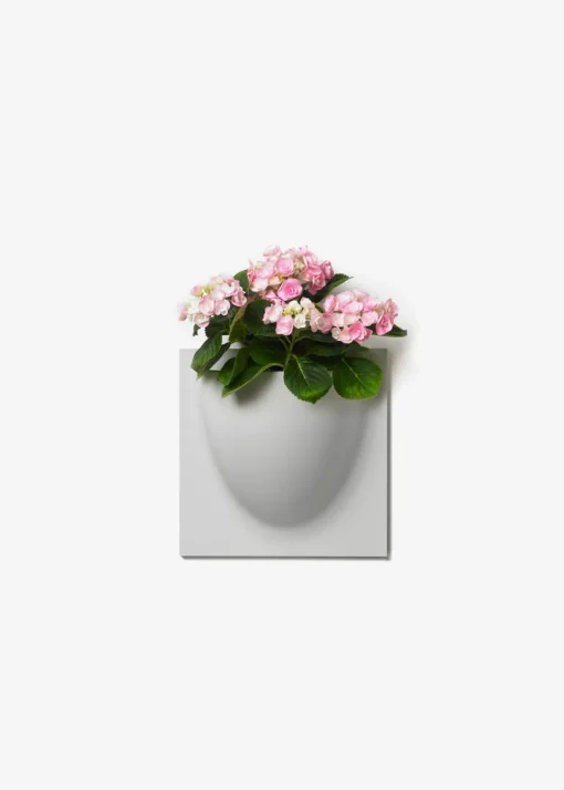 Vertiplants BIO