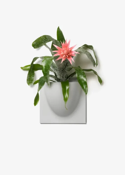 Vertiplants BIO
