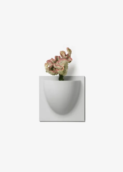 Vertiplants BIO